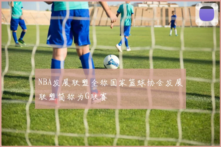 NBA发展联盟全称国家篮球协会发展联盟简称为G联赛