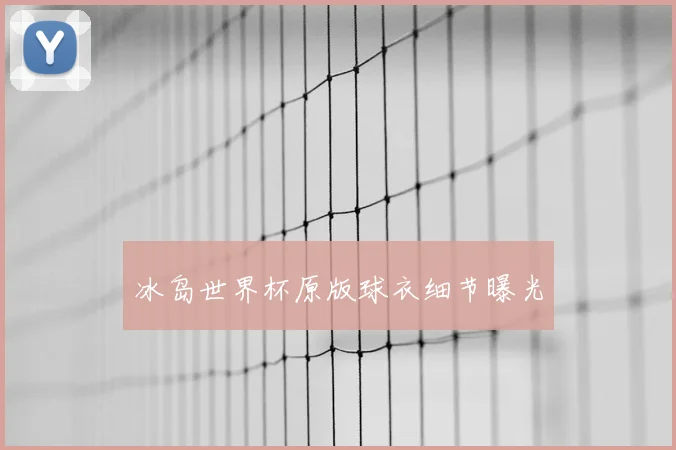 冰岛世界杯原版球衣细节曝光